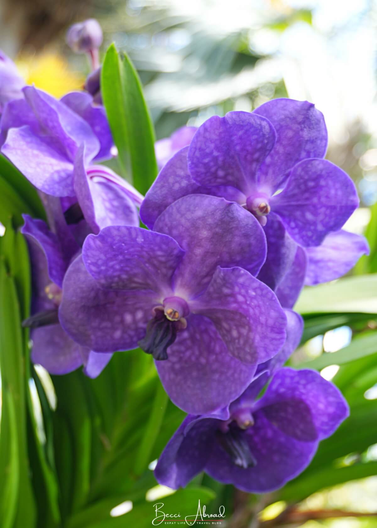 One week in Miami,1-week itinerary in Miami,One Week in Miami Itinerary,week in Miami