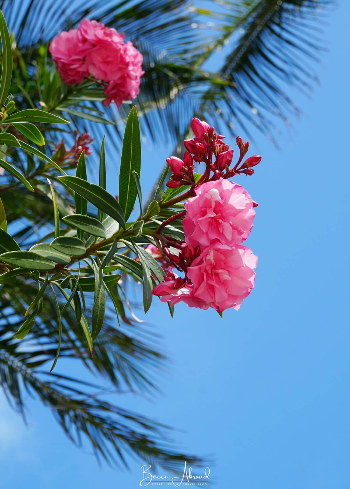 One week in Miami,1-week itinerary in Miami,One Week in Miami Itinerary,week in Miami