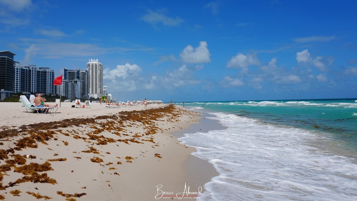 One week in Miami,1-week itinerary in Miami,One Week in Miami Itinerary,week in Miami