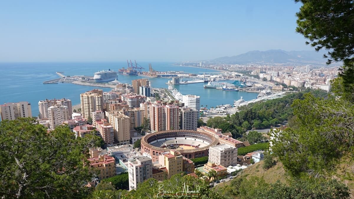 Oh My Good Guide,Guided tours in Malaga