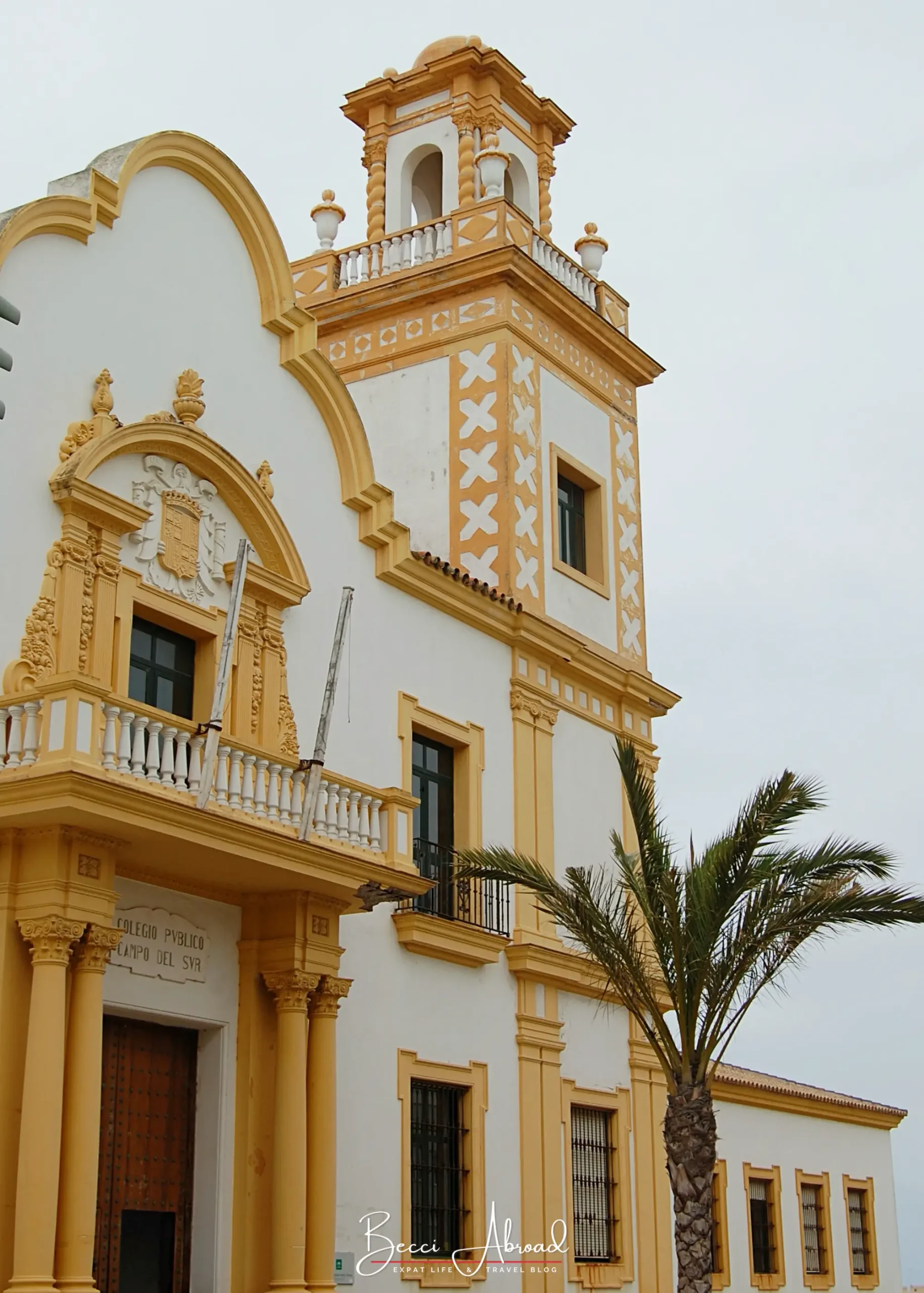 White and golden church facade with a bell tower and palm tree in Cádiz