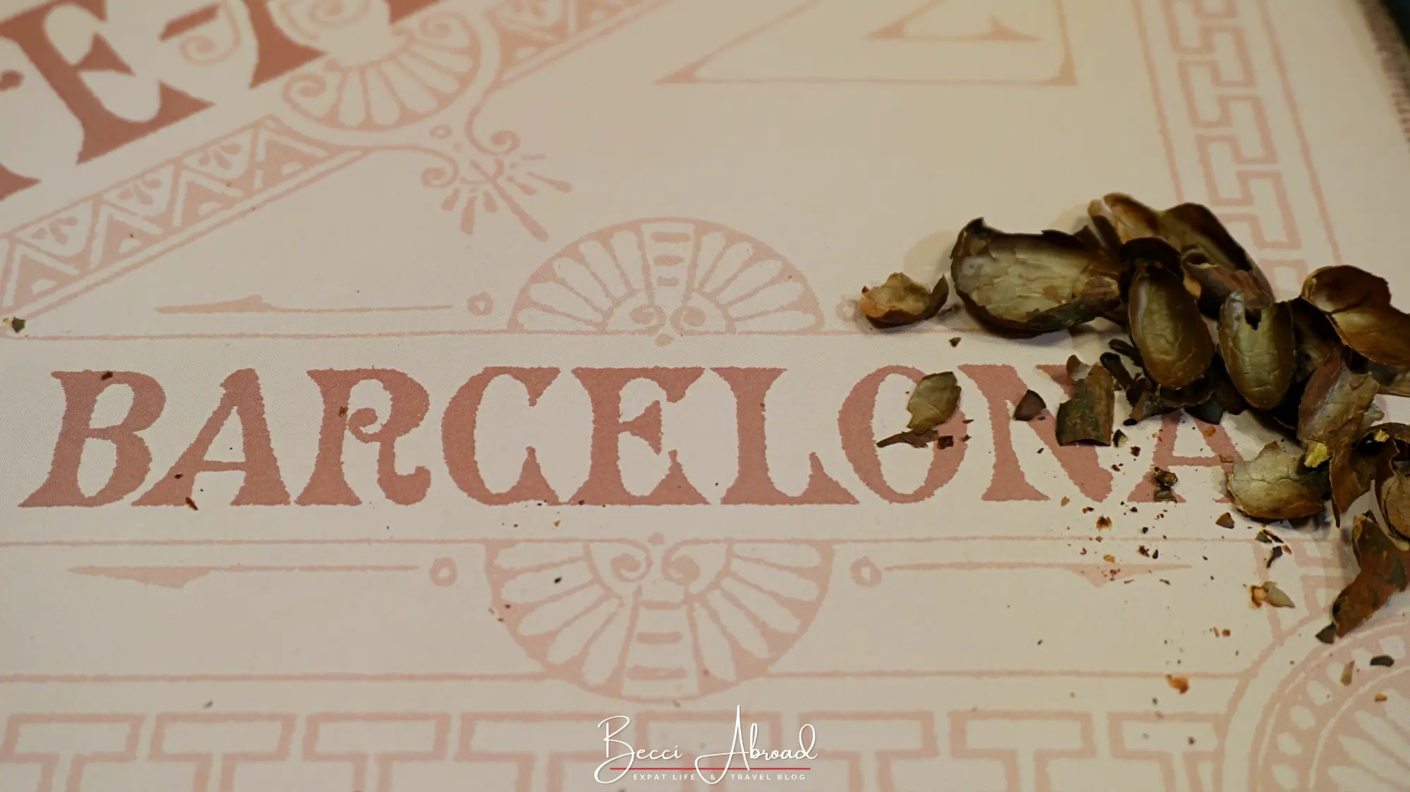 Cacao bean shells on a Chocolate Amatller Barcelona tray